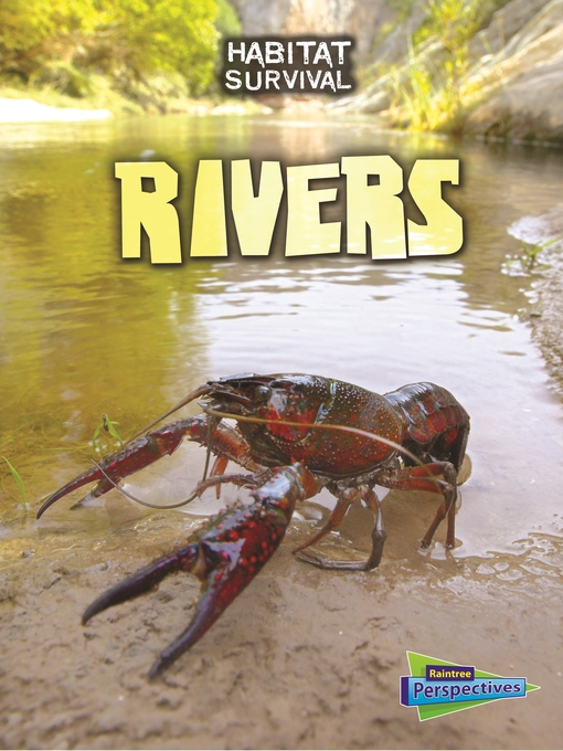 Cover image for Rivers